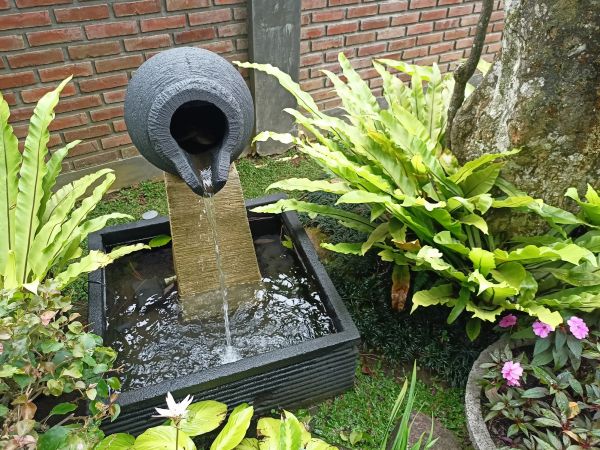 Backyard Water Feature Design