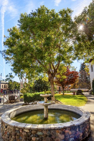 Courtyard Fountain Service