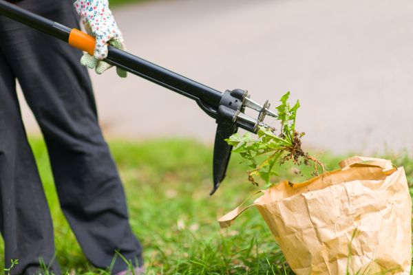 Commercial Weed Management