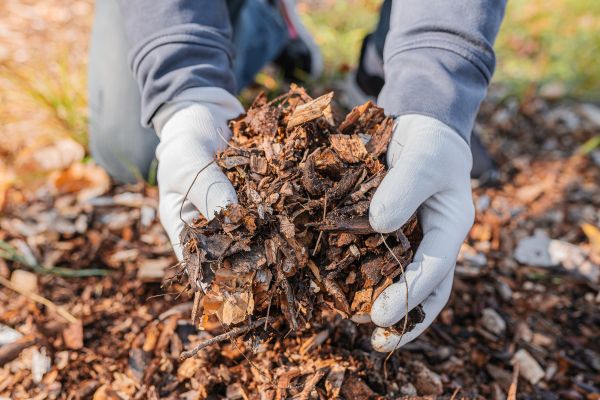 Shredded Mulch Installation