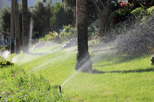 Landscape Watering