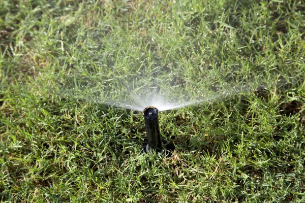 Yard Watering Repair