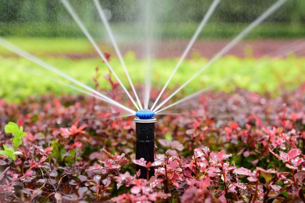 Rotary Sprinkler Fitting