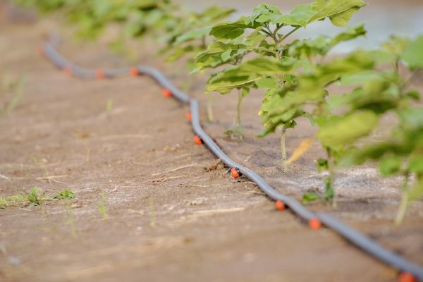 Ground Irrigation Installation