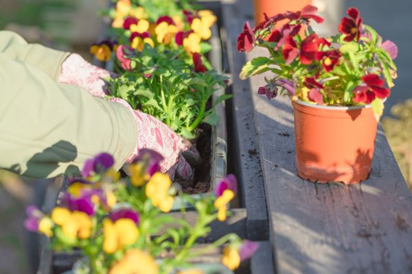 Springtime Gardening