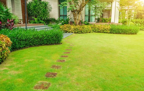 Beautiful Landscaping Service