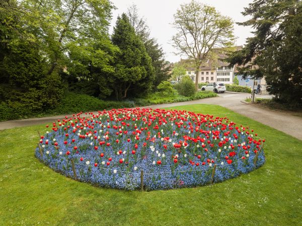Flowerbed Landscaping Service - Flowerbed Landscaping Service Amarillo, Texas