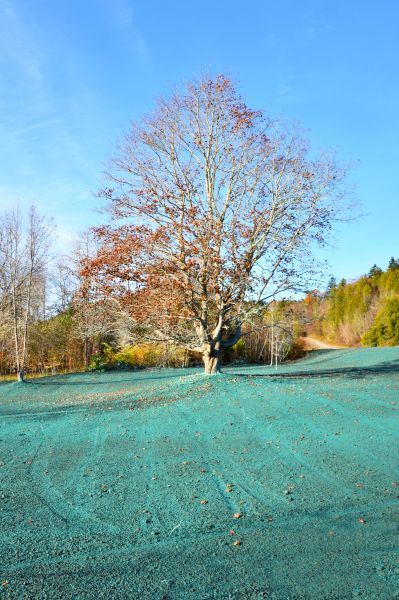 Seeded Grass Installation