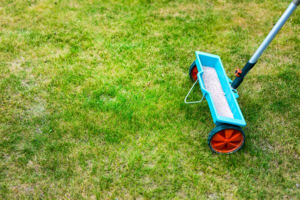 Lawn Care Fertilization