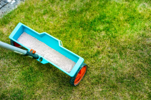 Seasonal Lawn Feeding