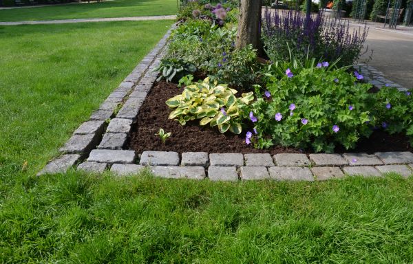 Garden Landscape Edging - Garden Landscape Edging Tempe, Arizona