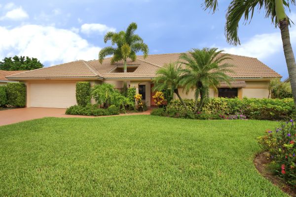 Palm Tree Removal Service