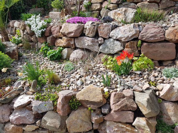Rocks Landscaping Service