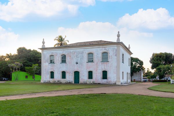 Bahia Grass Installation