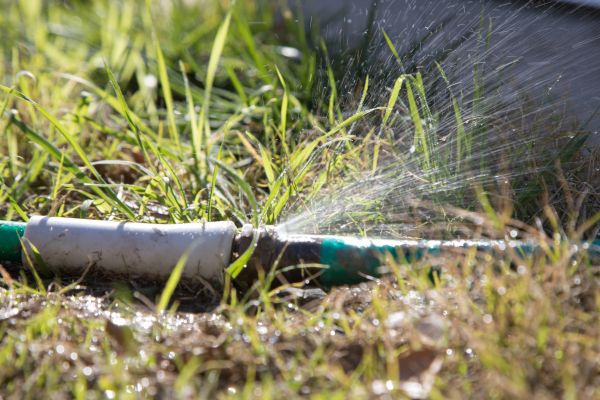 Sprinkler Damage Repair - Sprinkler Damage Repair Teller County, Colorado