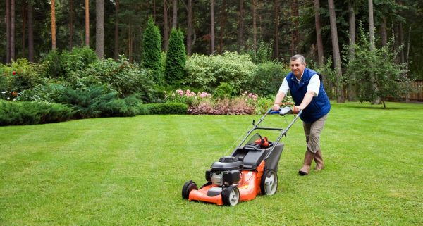 Residential Lot Mowing