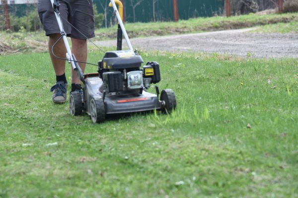 Home Lot Mowing