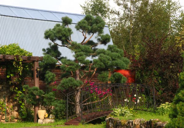 Home Landscaping Design