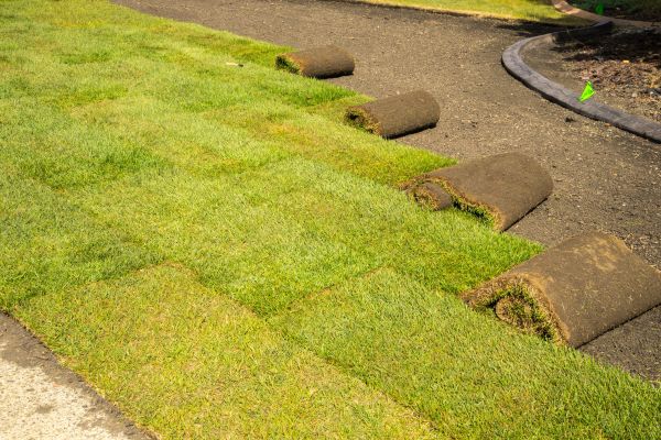 Front Lawn Sod Installation