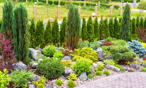Residential Landscaping Design