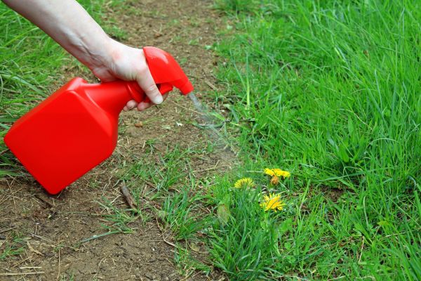 Chemical Weed Treatment