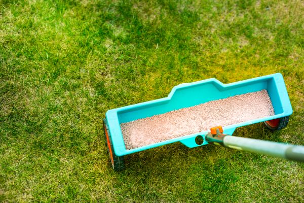 Yard Treatment Application - Yard Treatment Application Mcallen, Texas