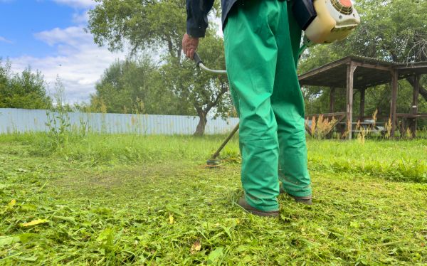 Garden Weed Cutting - Garden Weed Cutting San Antonio, Texas