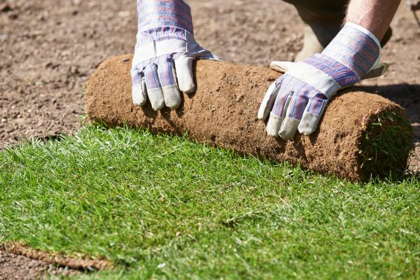 Landscape Sodding - Landscape Sodding Alpharetta, Georgia