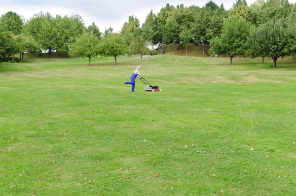 Empty Lot Mowing