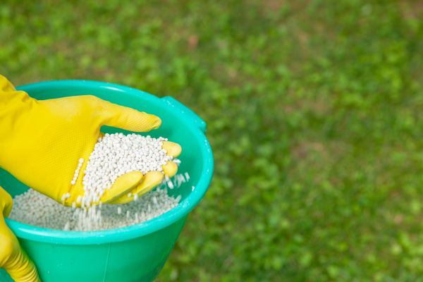 Commercial Lawn Fertilizing - Commercial Lawn Fertilizing Dallas, Texas