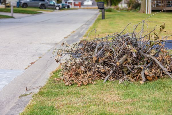 Brush Clean Up Service