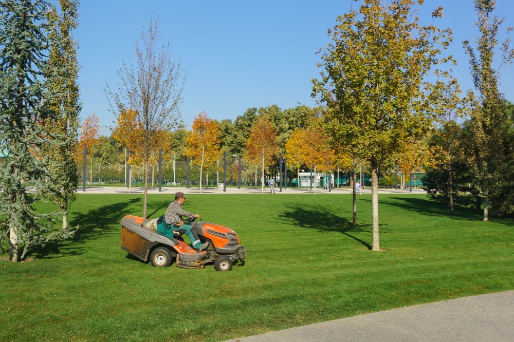Park Lawn Mowing Service