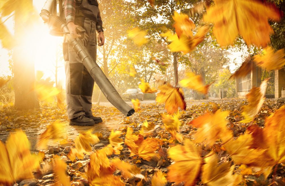 Commercial Leaves Cleanup Service - Commercial Leaves Cleanup Service Pearland, Texas